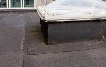disadvantages of Bagthorpe flat roofs