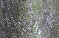 Bagthorpe fibreglass roof work